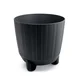 Prosperplast Saksija Ryfo Nf200N, Crna