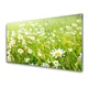 tulup.si Steklena slika Daisy travnik narava 140x70 cm 4 obešalnika