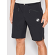 Mammut Aenergy Light SO Shorts