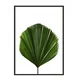 shumee PLAKAT ZA SLIKE V OKVIRJU 43x33 cm List P1150