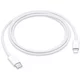 APPLE USB-C TO Lightning cable (1M)
