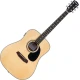 Pasadena PD-100E Natural Elektro-akustična dreadnought