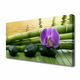 tulup.si Slika na platnu Flower stones bamboo narava 100x50 cm