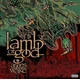 Lamb Of God - Ashes Of The Wake (Anniversary Edition) (Reissue) (2 LP)