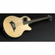 WARWICK AKUSTIÄONA bas kitara  RB ALIEN Standard 4 Natural High Polish - fretted