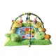 LORELLI BERTONI PODLOGA ZA IGRU PLAY GYM SA 4 JASTUCETA (88x88cm)