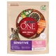 PURINA One Mini/Small Sensitive Losos in Riž - Suha Hrana za Pse, 800 g, Brez Umjetnih Barvil, Primerno za Starejše Pse