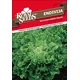 SEME ROYAL SEEDS 223 Endivija Malan