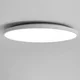 Foshanzhaoming Plafonska lampa LED, 36 W, 220 V, Bela