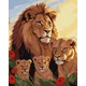 Rayher.	 Slikanje po številkah, Lion family, 40x50 cm