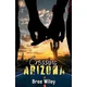 Crossing Arizona