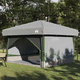 vidaXL vidaXL Notranji šotor s streho Zelena in Siva 300 x 300 x 250 cm, (5000091150)