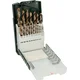 Bosch 19-delni set HSS-Co burgija za metal (2609255133)