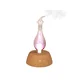 HOME AD15P Stona ultrazvučna aroma lampa