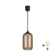 Brilagi - LED viseča svetilka na kablu R GLASS 1xE27/60W/230V O 14 cm črna/dimno rjava