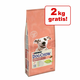 Dog Chow Puppy Jagnjetina, 14 kg