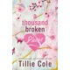 Thousand Broken Pieces
