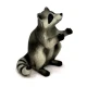 Figura Severni rakun 5 cm