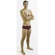 Mens swimsuit finis aquashort solid cabernet 38