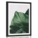 Plakat s paspartujem očarljiv list monstere - 40x60 black