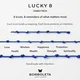 Borboleta Lucky L8P-F-IB