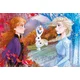 CLEMENTONI Puzzle 60 delova Maxi Frozen 2