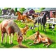 Ravensburger Puzzle Happy horses 60 kosov