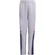 Hlače adidas SQUADRA25 TR PNT Y
