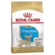 Royal Canin Breed Nutrition čivava Puppy, 500 g