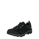 Jack Wolfskin Muške cipele Ojo 3 Texapore Low