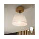 Brilagi - LED Plafonski luster ANTHONY 1xE14/60W/230V hrast/bela