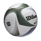 Wilson AVP PXL VB OF, odbojkarska žoga, bela WV4008201XBOF