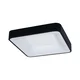 Brilagi - LED prigušiva stropno svetlo FALCON II LED/80W/230V 40x40 cm crna + daljinski upravljač