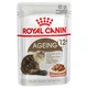 Royal Canin Ageing 12+ v omaki - 12 x 85 g