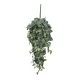 Dekordom Cvet pilea 70cm 953440 - green - edl ( 040420 )