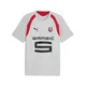 PUMA Stade Rennais Training Jersey Men, Sport, Cool Light Gray/Red, L
