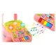 Ricokids Poučna hojica z glasbo 2 v 1 RK-744 roza