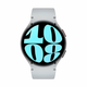 SAMSUNG pametni sat Galaxy Watch6 44mm LTE, Silver