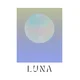 Plakat Luna 21x30 cm minimalistična dekoracija z motivom lune A4