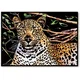 shumee Magic Scratch Card Mysterious Cheetah 40x28 cm