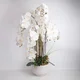 Homestar Orhideja Garden Queen H102cm bela