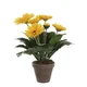Umetno cvetje Gerbera, rumena