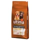Ultima Dog Golden & Labrador Retriever piščanec - Varčno pakiranje: 2 x 14 kg
