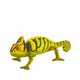 Animal Planet Kameleon