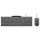 Lenovo Set tastatura i miš GX31R09795 310, USB, Žični, US raspored, Sivi
