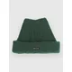Coal Aurora Beanie dark green