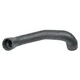 Spodnja cev hladilnika 45 mm GRANIT 81805638