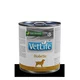 Farmina Vetlife | Dog Diabetic 300g
