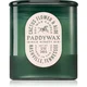 Paddywax Vista Cactus Flower & Aloe dišeča sveča 340 g