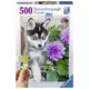 Ravensburger puzzle (slagalice) 500pcs Haski RA13682